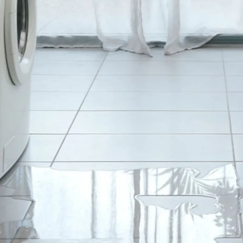 Appliance Leak Cleanup in Sturgis, MI