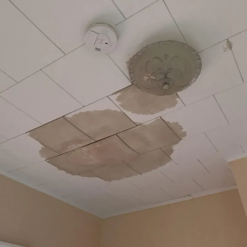 Ceiling Water Damage Repair in Sturgis, MI