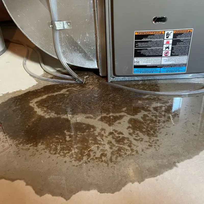 Pipe Burst and Leak Restoration in Sturgis, MI